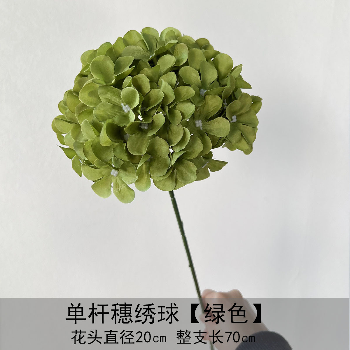 Hortensia de espiga de un solo palo - verde