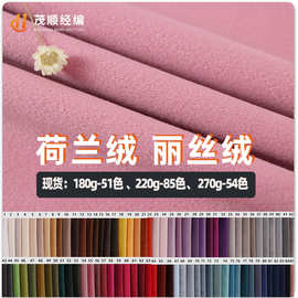 厂家180g丽丝绒面料 天鹅绒沙发抱枕坐垫宠物猫窝绒布 荷兰绒批发