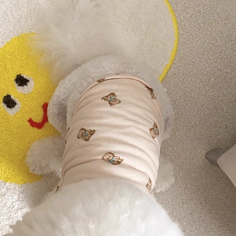 Versión coreana de la ropa de perro de peluche de dos patas para mascotas de dos patas