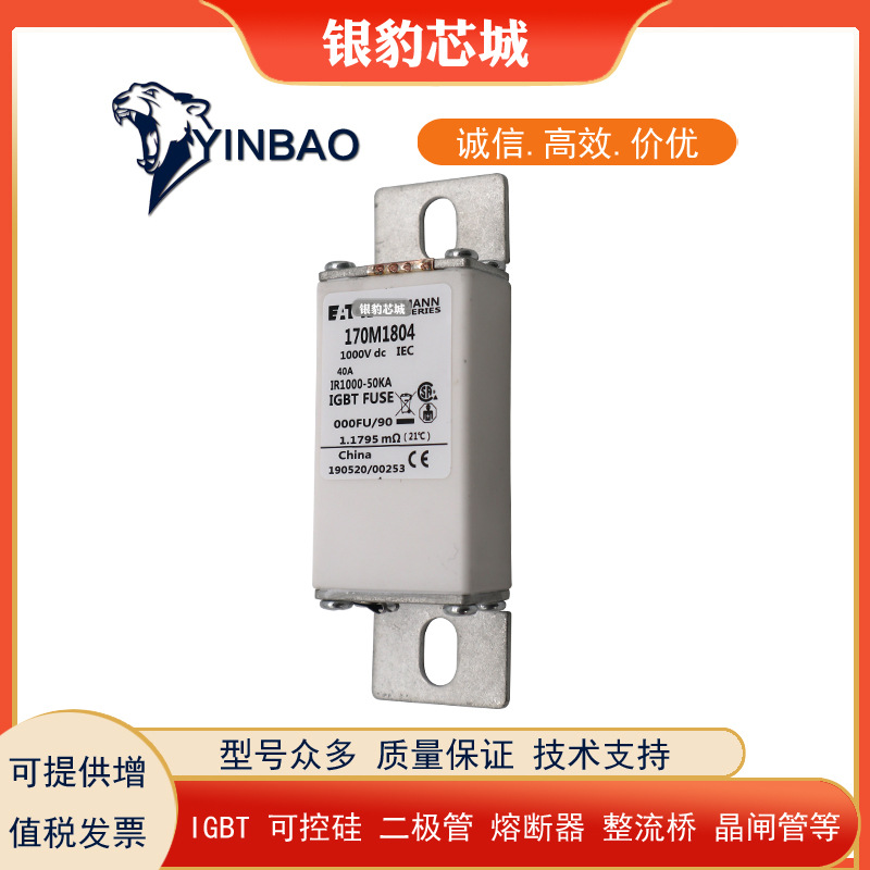 170M1812 170M1813 170M1824 170M1825 170M1826全新熔断器