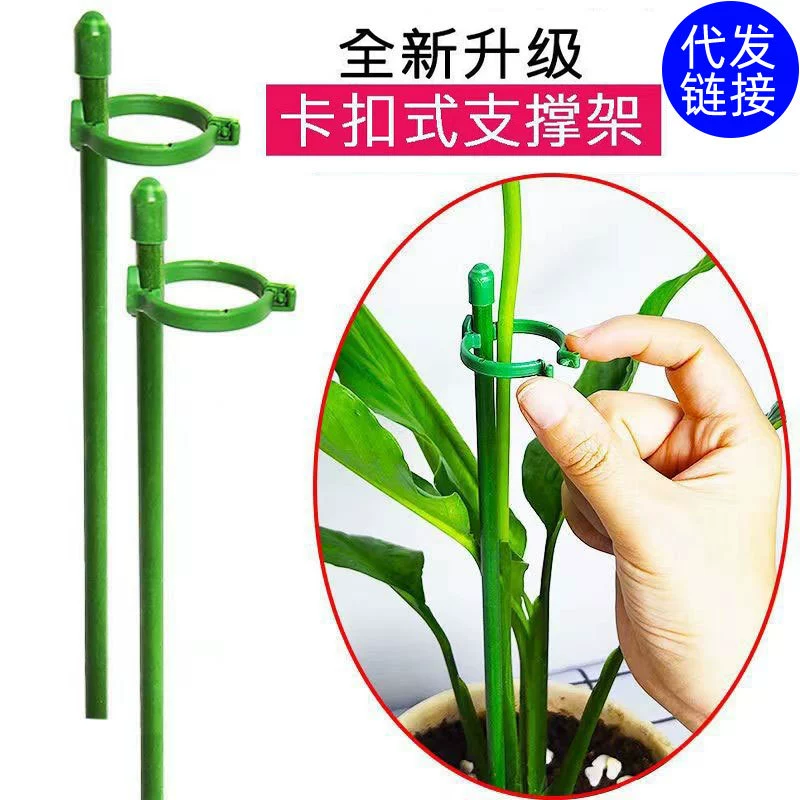 Фиксированные растения Жилье-доказательство Цветочная полка альпинистская лоза Гортензия Крепежный кронштейн Открытый сад Роза Садоводство Поддержка Один Полюс