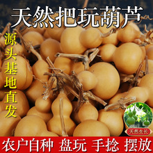 ��Ȼ���J��Ʒ��������؃r�[��С�ָ����ְђ��������{���^���l