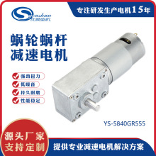 YS5840蜗轮蜗杆 R555微型直流电机12V24V 自锁减速电机炒菜机电机