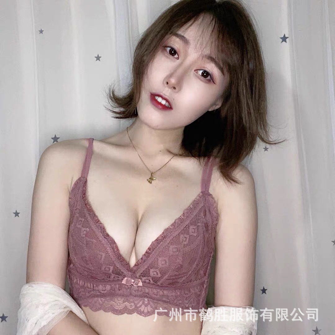 Ventas directas de fábrica Comercio electrónico transfronterizo Sudeste de Asia Vietnam Tailandia Lace de mujer delgado pecho pequeño recogido sujetador Tovin image 4