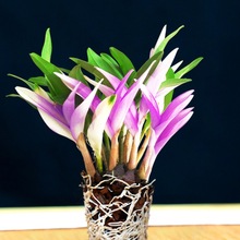 �߲���ˮʯ���m���ļ��_���B�Gֲ������ʯ���Gֲ�����՚�