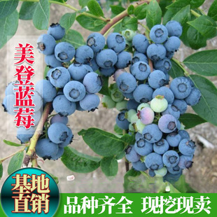 �����簫���{ݮ�������{ݮ���翹��������ͥԺ���Ե��Ԯ���Y����