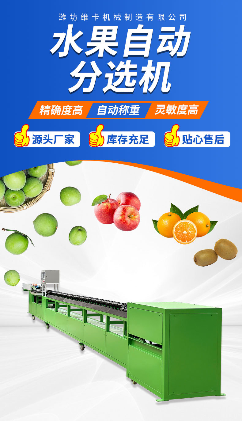 Automatic fruit sorting_01.jpg