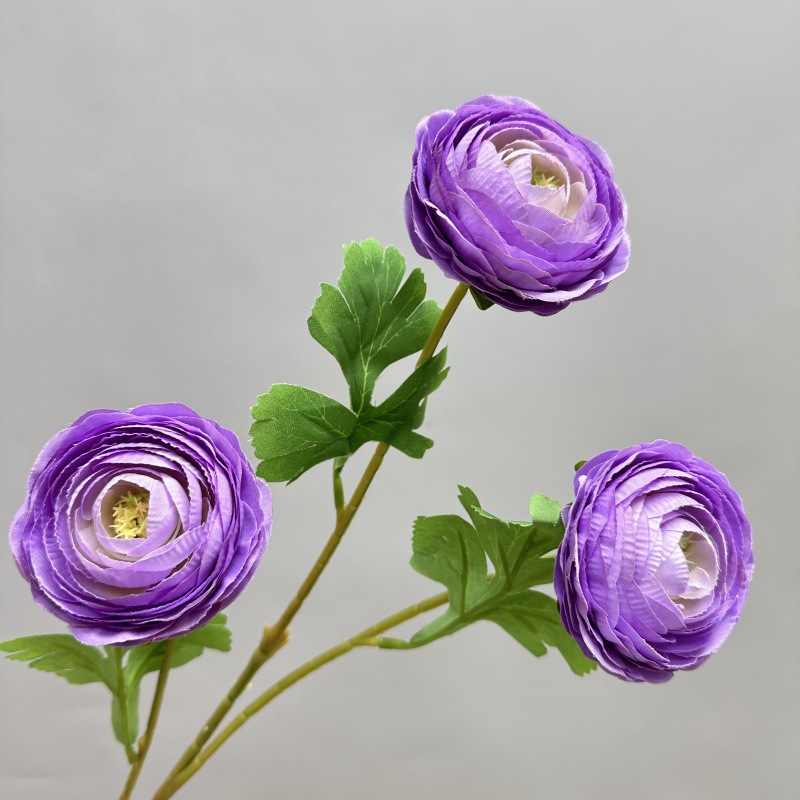 보라색