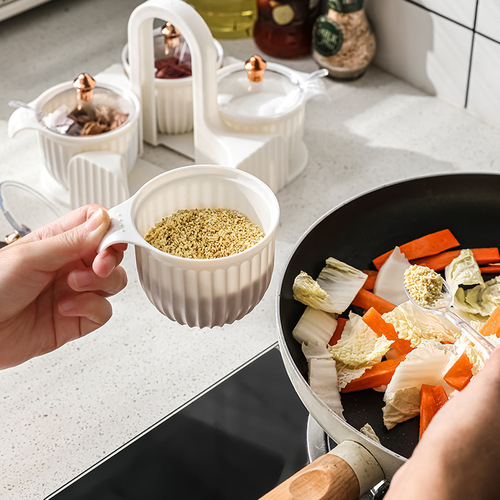Wholesale Nordic Creative Kitchen Spice Jar Set Household Handheld Spice Jar Combo with Transparent Lid Condiment Box