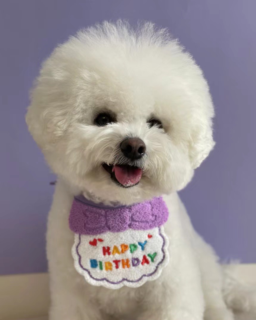 微信图片_20220221101945