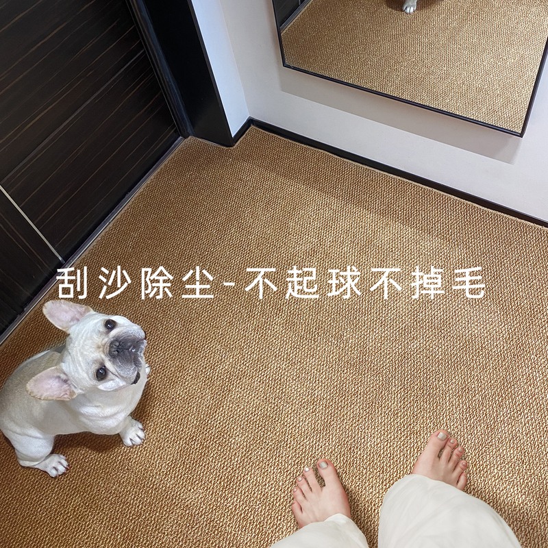 Imitation Sisal Entrance Door Mat, High-End, Cuttable, Washable Carpet, New Style, Non-Slip, Wear-Resistant, Doorway Entry Mat