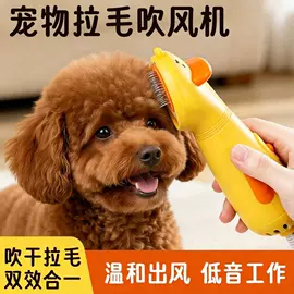 猫猫玩具;瘦脸工具;狗狗食具