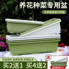 �̨�N���茣�����L�����߲˷Nֲ���������ˮ��ݮ�������ϻ����