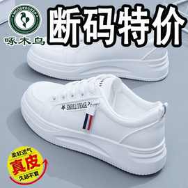 啄木鸟断码特价真皮小白鞋女2023秋季新款百搭厚底运动休闲板鞋子