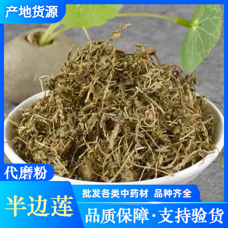 半边莲 中药材批发 新货 箭豆草足干 干净无杂 支持药检 承接订单