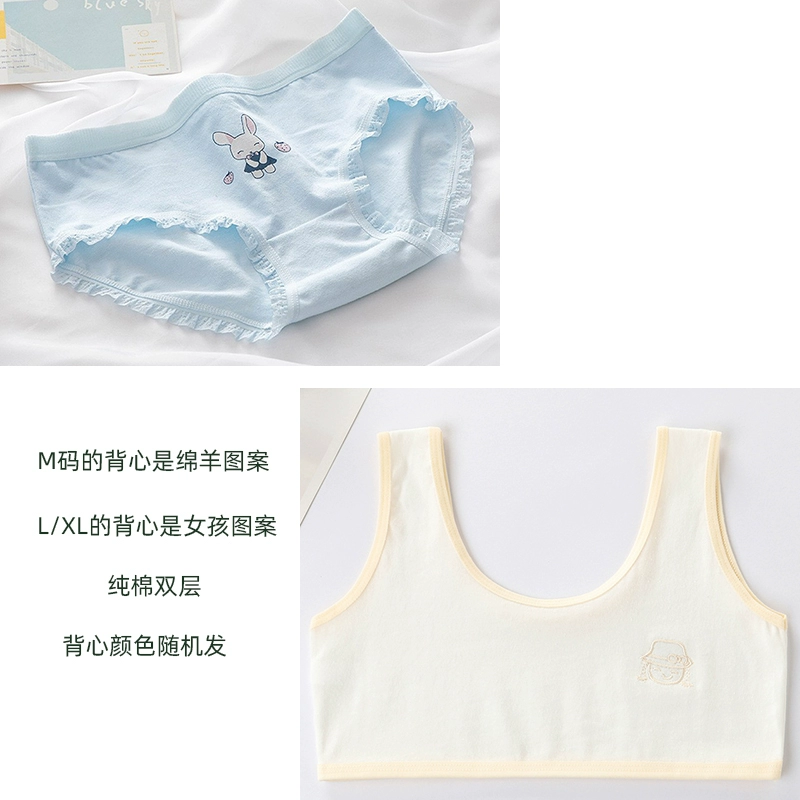 underwear для учеников начальной школы, для подростков, для среднего школьного возраста, 9-18 лет
