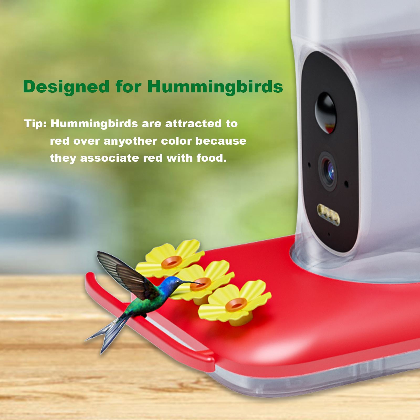 Source Factory AI Hummingbird Water Alimentador de Hummingbird inteligente solar de alta definición de 5MP