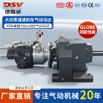 DSV德斯威大功率减速刹车气动马达工业级高扭矩动力厂家直销
