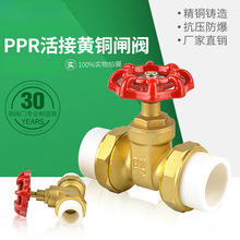 ȫ~hPPRlyPEʽ4206lTǰlyTly