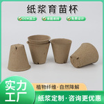可降解纸浆育苗杯培育花盆一次性育苗营养钵植物种子发芽定植纸杯