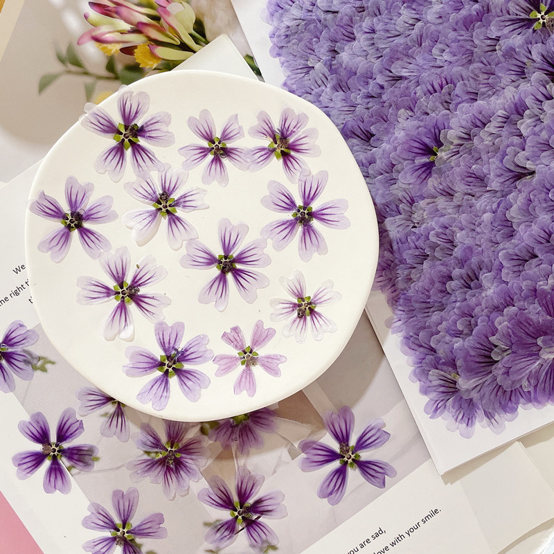 微信图片_20220918013438