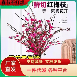 һ�����l�t÷�һ���֦�lˮ��ֲ���҃Ⱥ��Bѩ����֧ˮ�B�ɻ����͏d