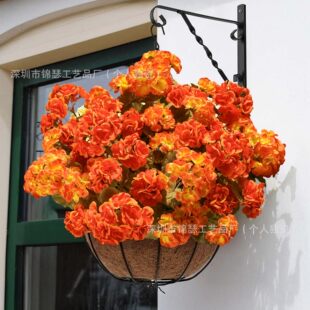�羳����Ļ�ï�ܿ� ���滨�����b� ���Ļ��ٻ�����ͥԺ����