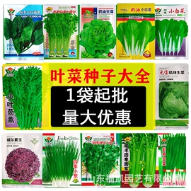 其他园林资材;花盆容器;栽培基质