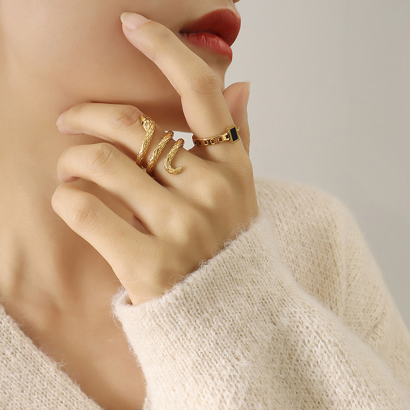 欧米のinsの冷たい風のファッションの動物は蛇の高級なチタンの指輪の男女の同種の保色を囲んで代行します。