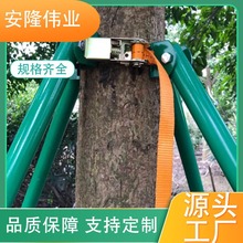 绿化树木支撑杆园林工程苗木支撑杆镀锌钢管树木防倒架树木支撑架