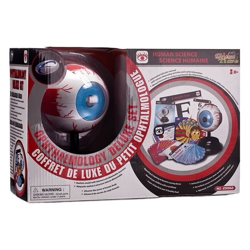 Yigao estudiante oftalmología experimento de lujo traje modelo de ciencia y educación para niños juguete estructura fisiológica modelo de ojo humano