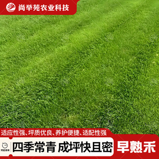 �M������̲����ͺ��ͺ��Ͱ��Ͳ��ļ�����ͥԺ�e��С�^�G���ݷN��