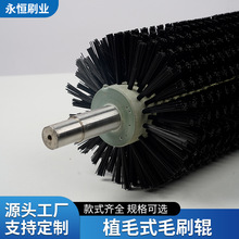 植毛式毛刷辊清洗扫除尘尼龙丝马尾猪鬃塑料圆形工业毛刷辊厂家