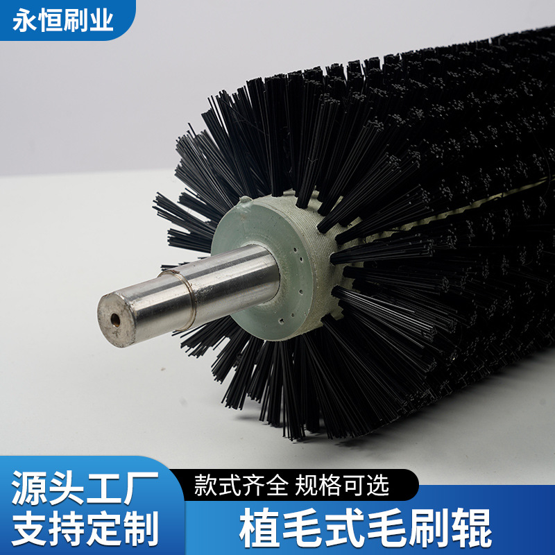 植毛式毛刷辊清洗扫除尘尼龙丝马尾猪鬃塑料圆形工业毛刷辊厂家