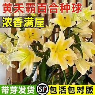 �S��԰ٺϷN��ѿ�F�ڶ������༾���_������ͥԺ�̨�_���ܾGֲ