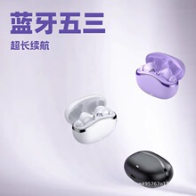 2026�¿���o���{�����C������C�羳�������w�o���{�����C