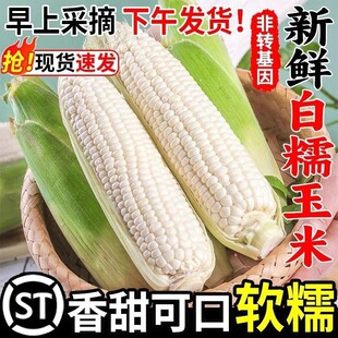 ���r�Fժ��Ŵ���׏V���S���װ��ӎ������ȏV�����ևL�r��Ŵ����