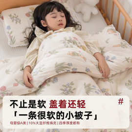 a类母婴儿童春秋被宝宝幼儿园午睡专用小被子加厚保暖秋冬被被芯