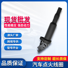 車の点火コイル高電圧パッケージクロスボーダー供給 BMW 12137594937 0221504470