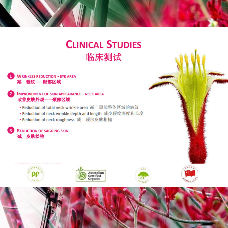 袋鼠爪花提取物6