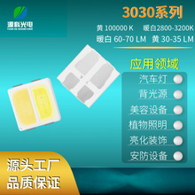 3030暖白调粉黄双杯双色LED贴片灯珠全光谱led灯珠高亮发光二极管