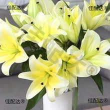 ��������϶��^��������F��ֱ�l�滨�r������ˮ�B��ˮ�ٺ��r��