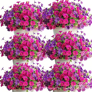 �羳���R�d��������ٻ� ��ţ��7���ȼ������Ȼ���춼Ҿӑ����b�
