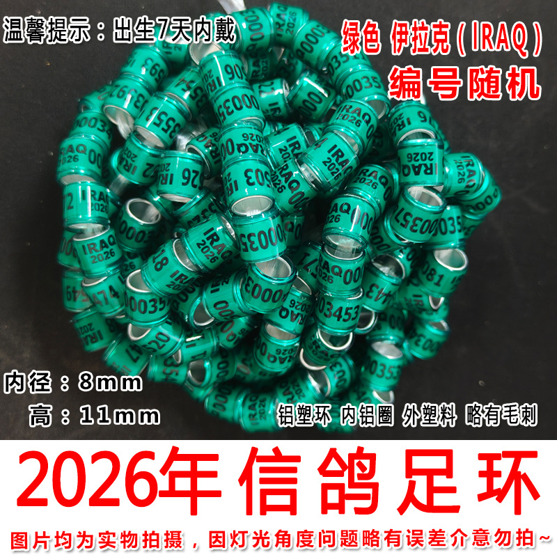 2026年绿色伊拉克2