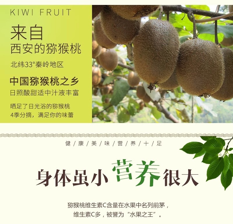 Dried Kiwi Fruit Slices Mihoutao Gan No Added Sugar Fruit Chips Snack 250g quality and texture
