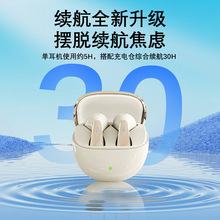 2025��Ʒ˽ģ�{�����C��������ʽ6�O����ANC�{�����C���L�m��E