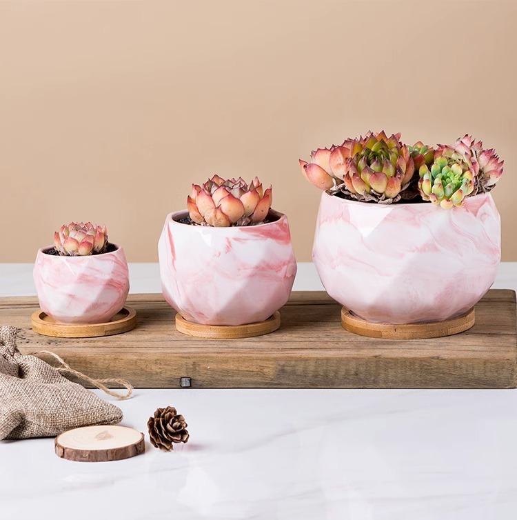 668edeba-6821-441f-80b5-f45d19eecf0f.jpe