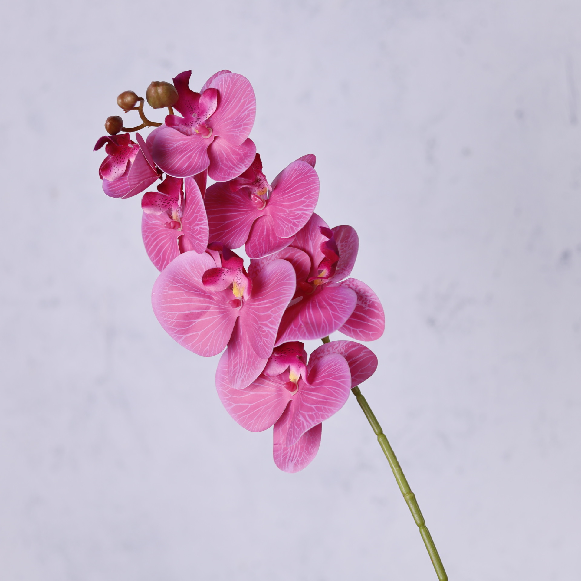 Impresión 3D de 7 cabezas de orquídeas mariposa flor de decoración de flores de alto nivel flor de nicho decoración floral decoración de sala de estar