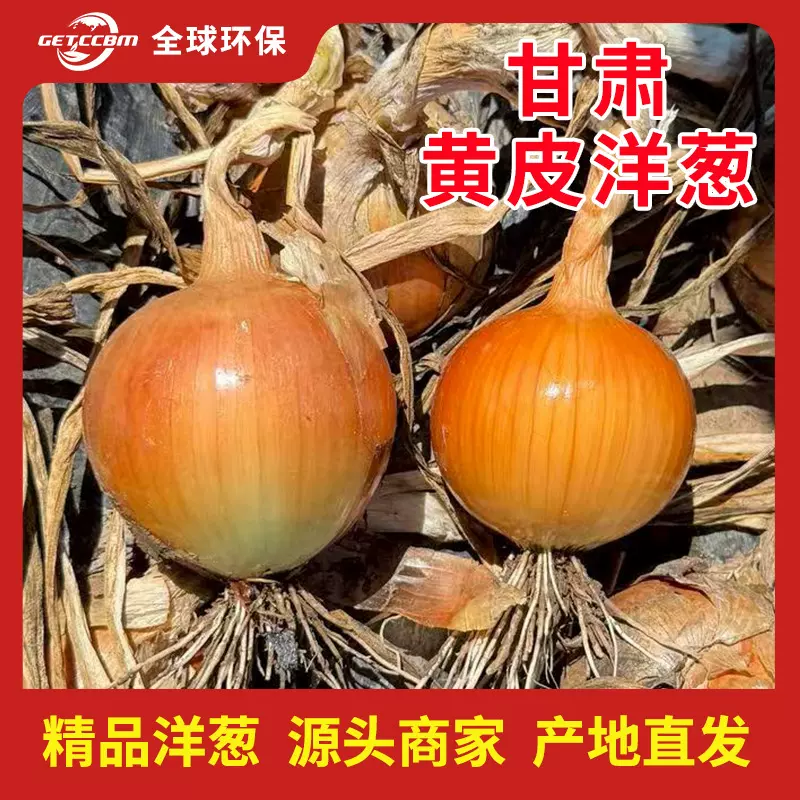 黄洋葱多汁甜洋葱黄洋葱肉厚优质大洋葱