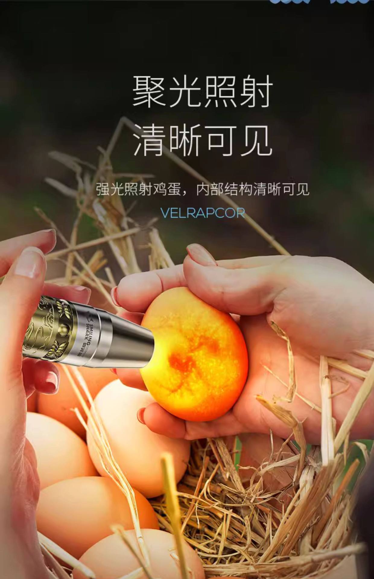 Flashlight for Jade Identification, Strong Light for Jewelry Identification, Jade Inspection, Money and Alcohol Verification, 65Nm Ultraviolet Light